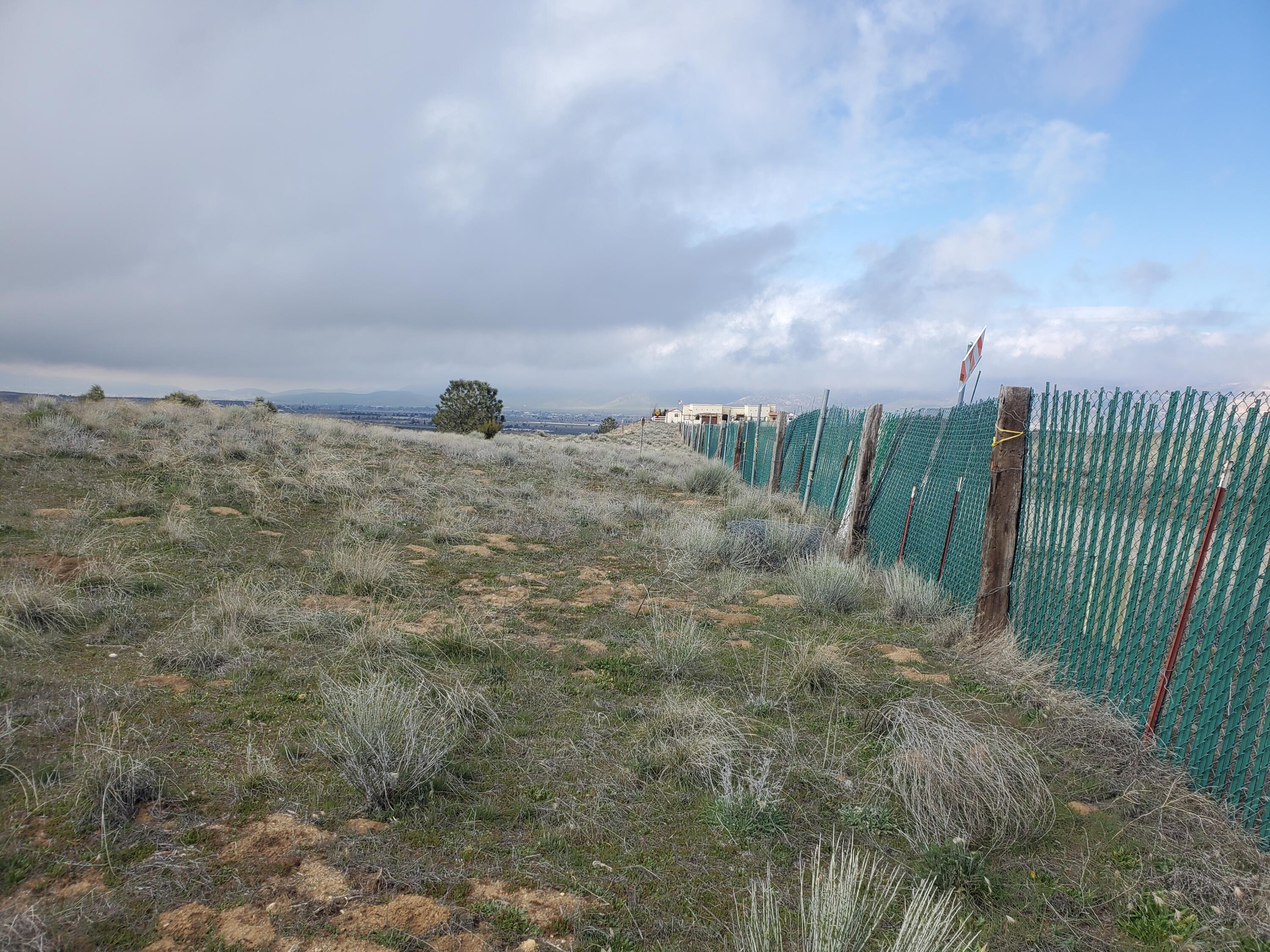 a view of a dry yard with wooden fence