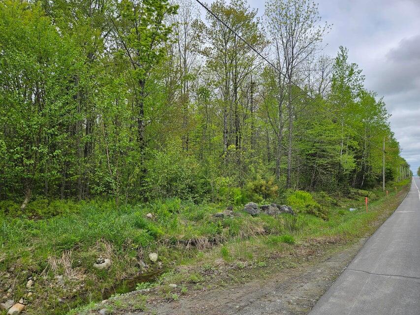 681 Mile Hill Road New Sharon, ME 04955 - Photo 6 of 11 6