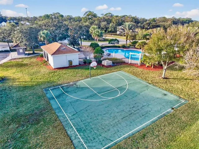 $2,000 | 12343 Country White Circle, Tampa, FL 33635