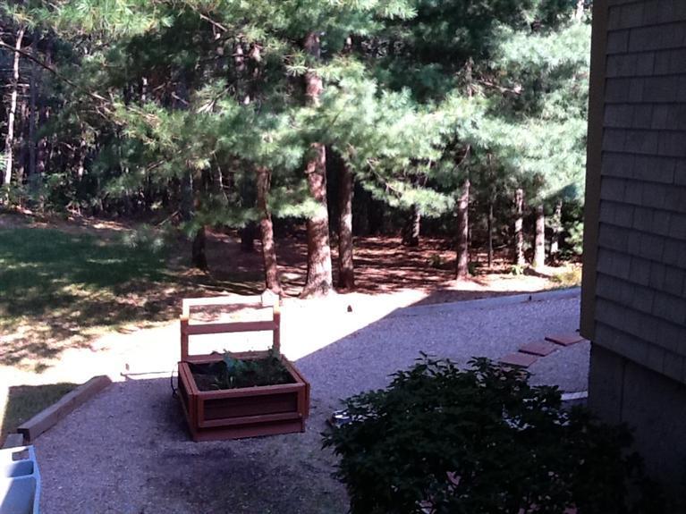 16 Winding Cove Road Marstons Mills, MA 02648 - Photo 31 of 32 Additional Photo