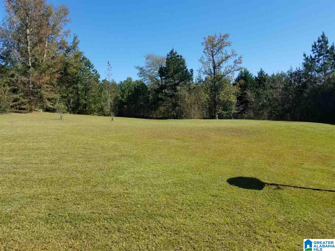 283 Amanda Lane Weaver, AL 36277 - Photo 3 of 33