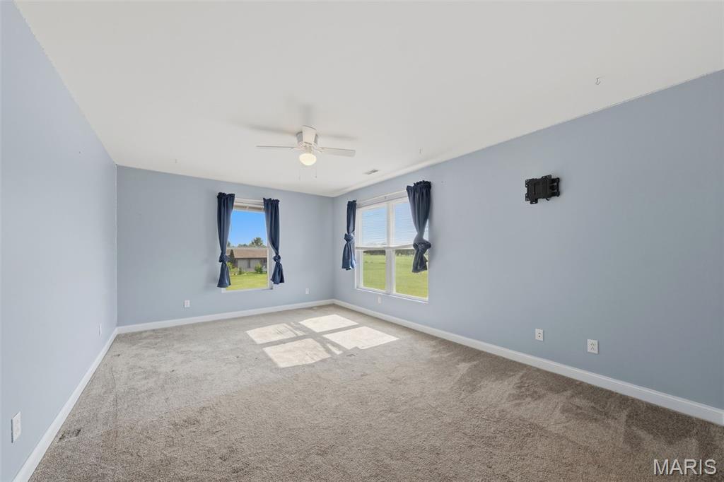 4722 Timber View Drive Waterloo, IL 62298 - Photo 35 of 52