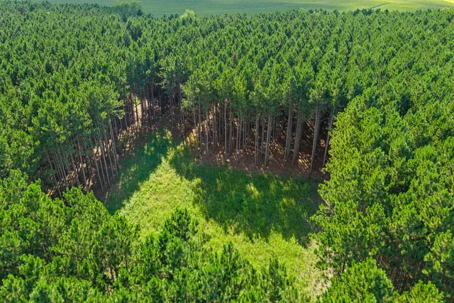 $199,900 | Lot 41 23rd, Nekoosa, WI 54457