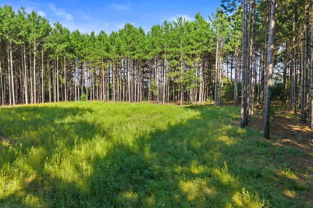 $199,900 | Lot 41 23rd, Nekoosa, WI 54457
