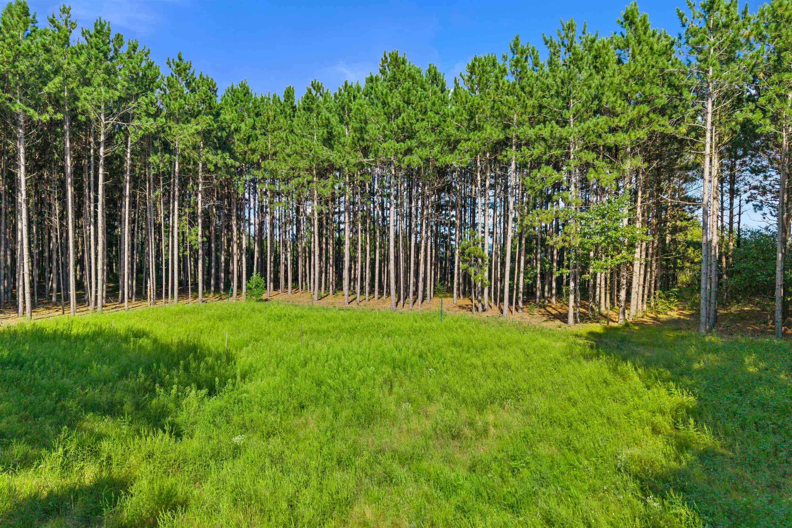 Lot 41 23rd Nekoosa, WI 54457 - Photo 14 of 15