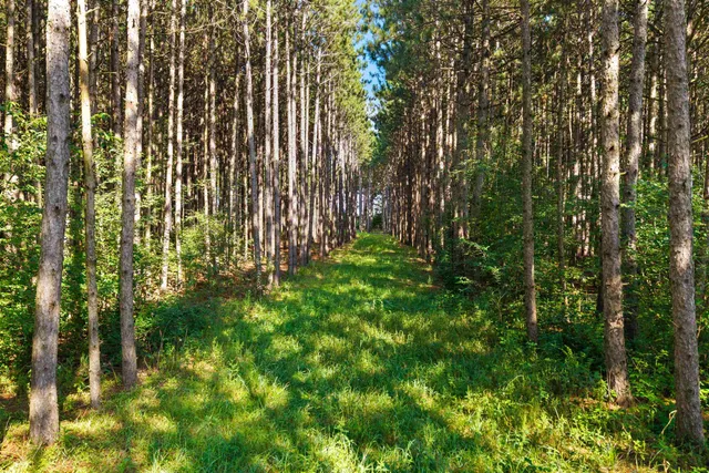 $199,900 | Lot 41 23rd, Nekoosa, WI 54457