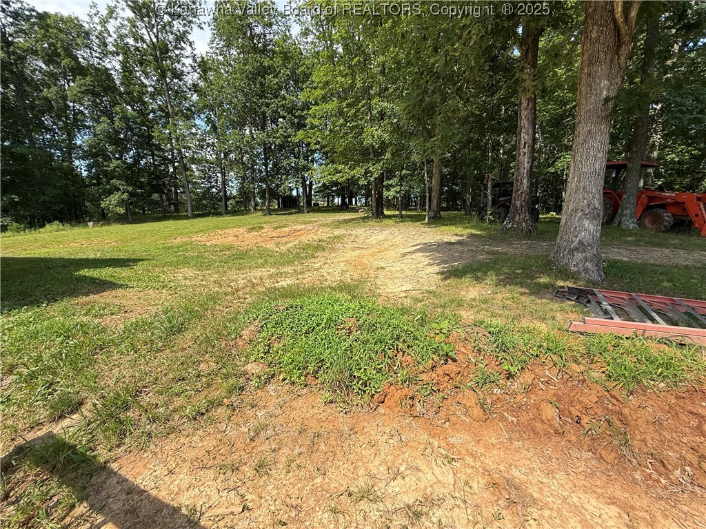3731 Emma Road Liberty, WV 25124 - Photo 31 of 32 Gallery Image 31
