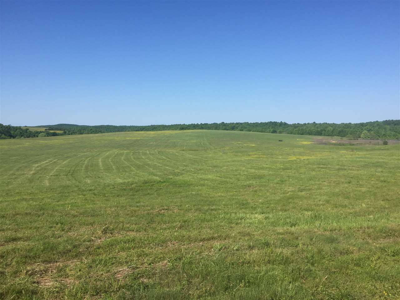 0 Milshed Road Morgantown, KY 42261 - Photo 2 of 3 Gallery Image 2