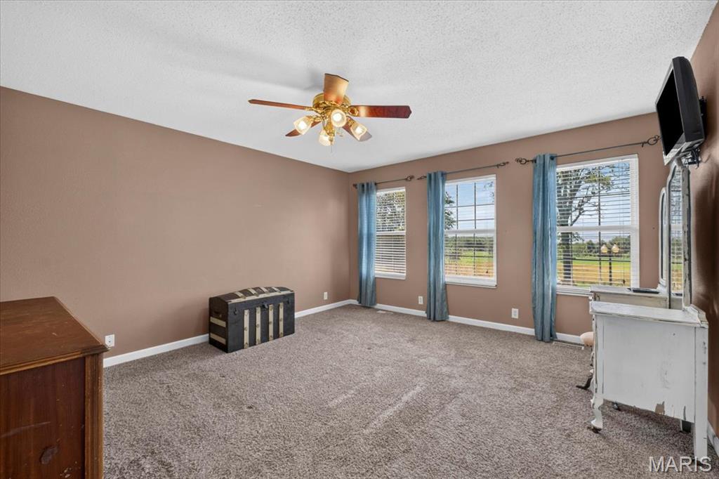21610 Westview Road Carlyle, IL 62231 - Photo 11 of 38