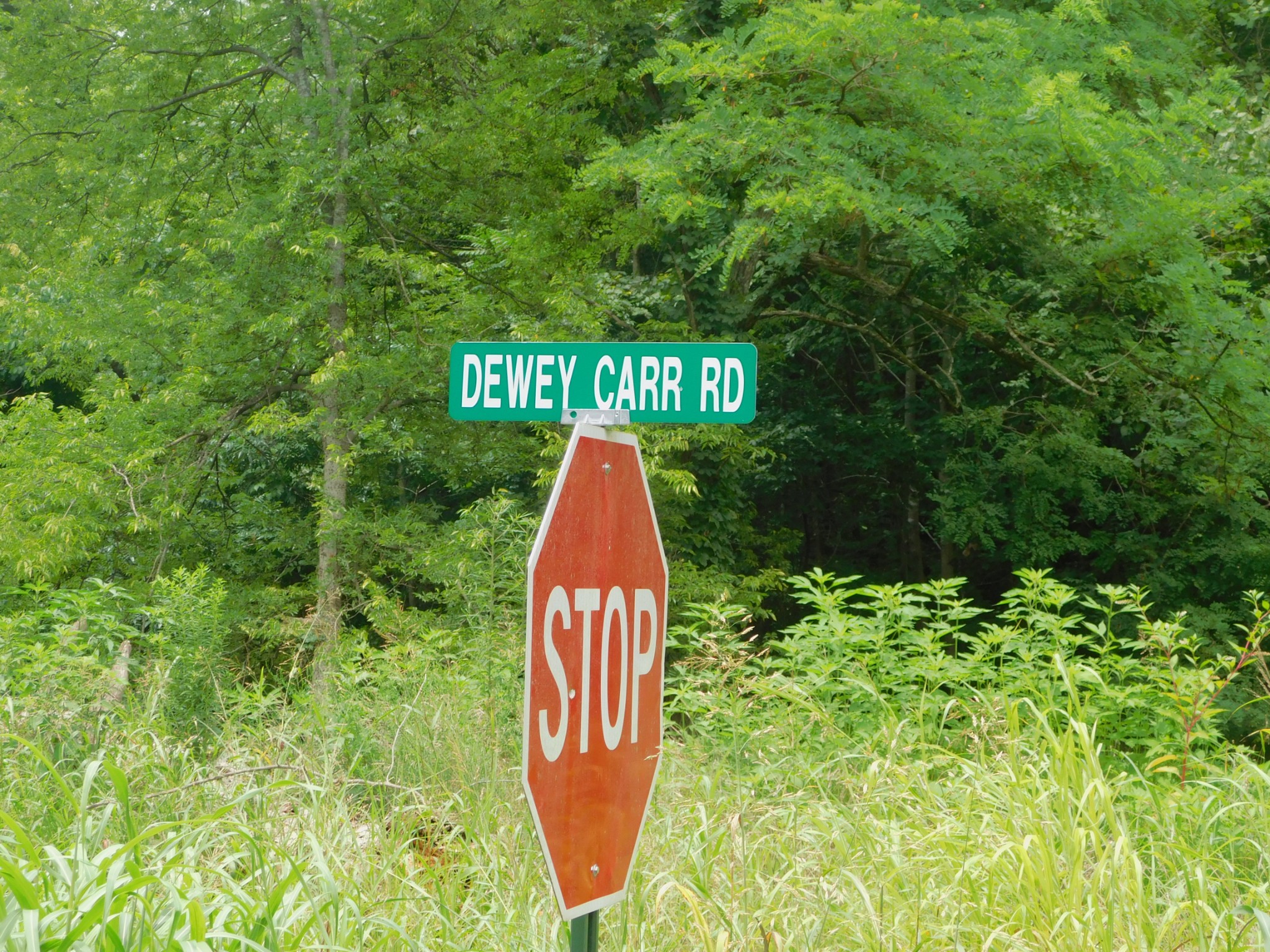 6155 Dewey Carr Road Bethpage, TN 37022 - Photo 42 of 53 Gallery Image 42