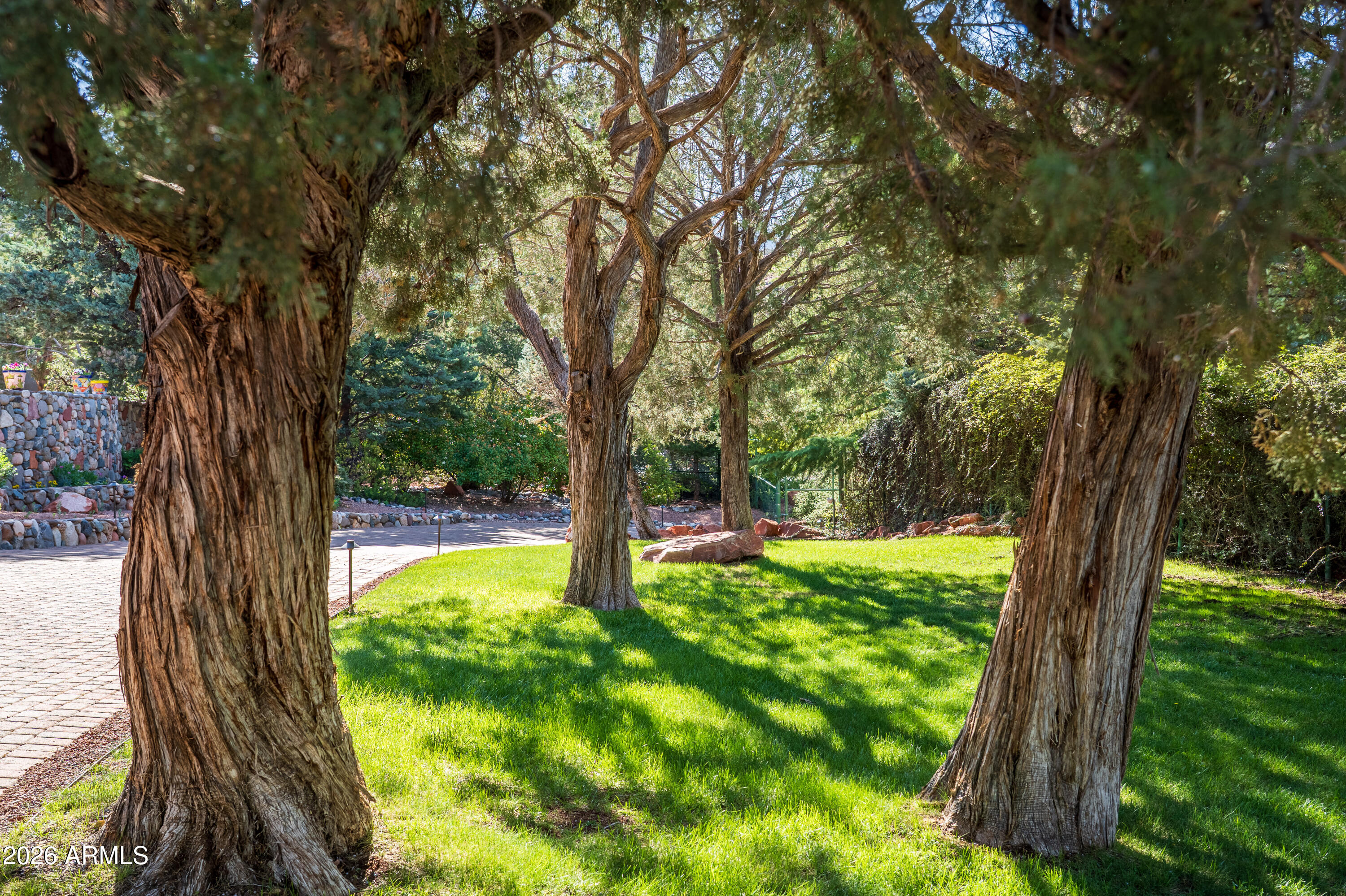 190 Morgan Road Sedona, AZ 86336 - Photo 10 of 51 a backyard of a house with a yard and large trees