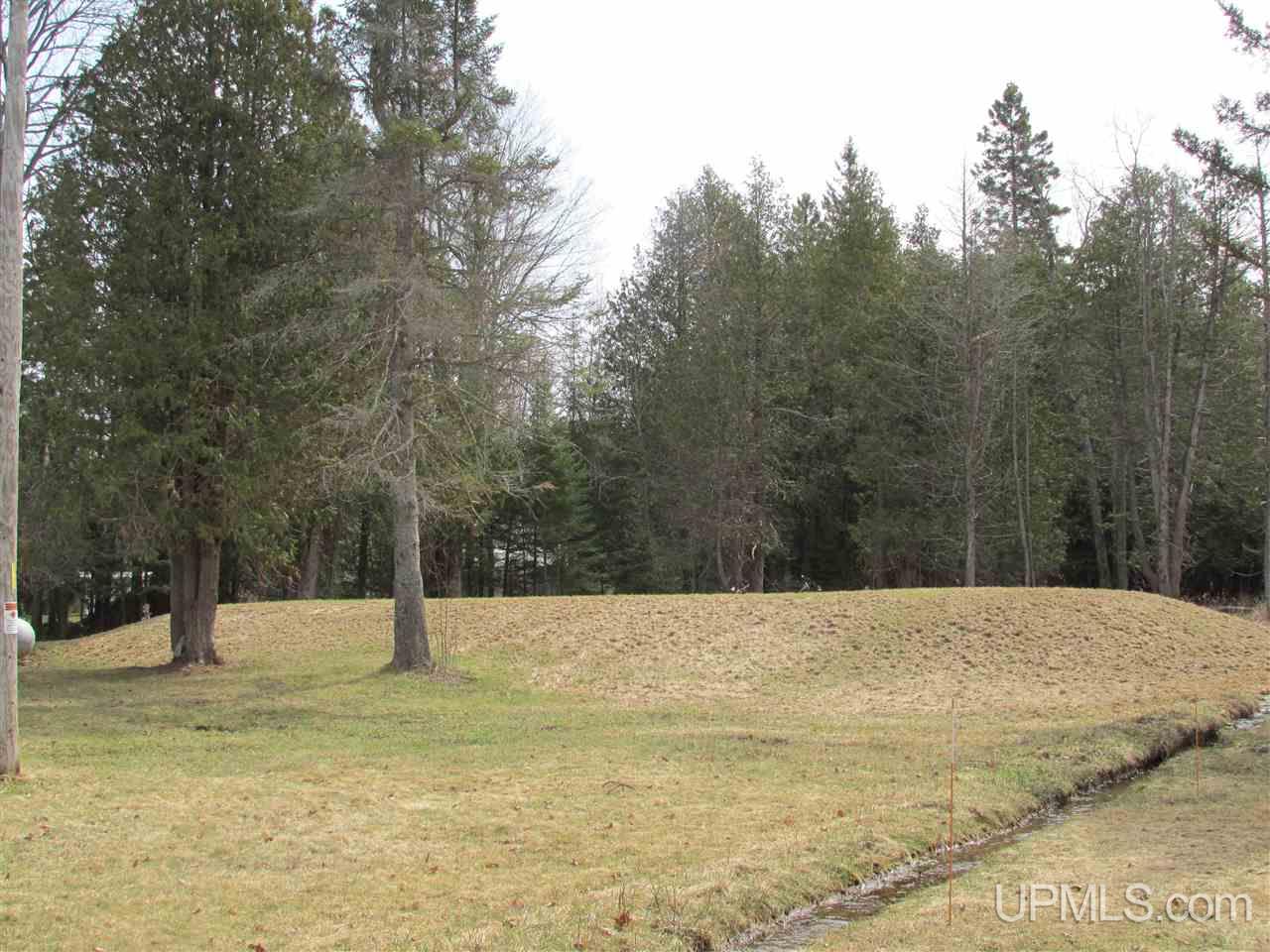 3538 County 426 M.5 Road Cornell, MI 49818 - Photo 8 of 29