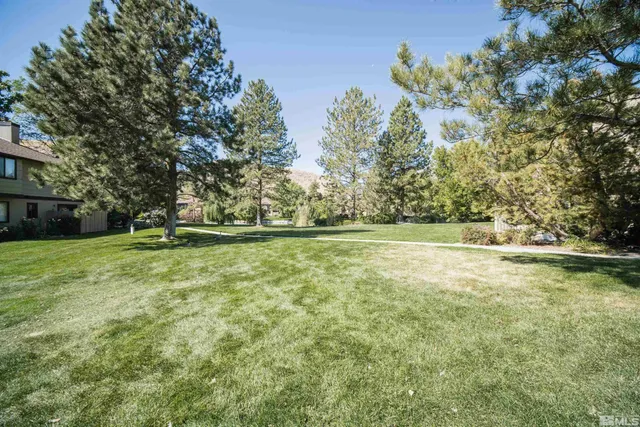 a view of yard with trees