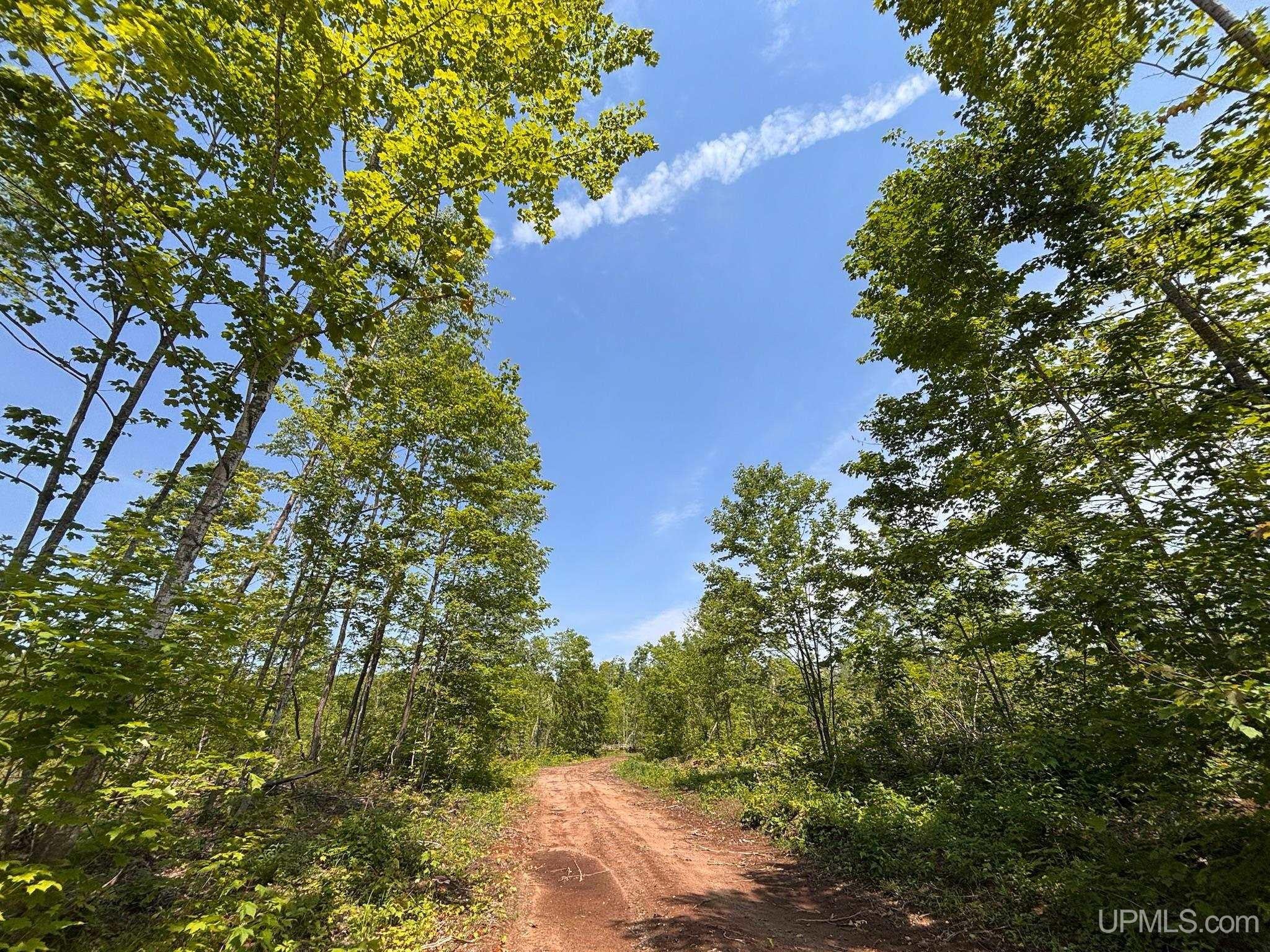 Horseshoe Lake Road Toivola, MI 49965 - Photo 56 of 70 Gallery Image 56