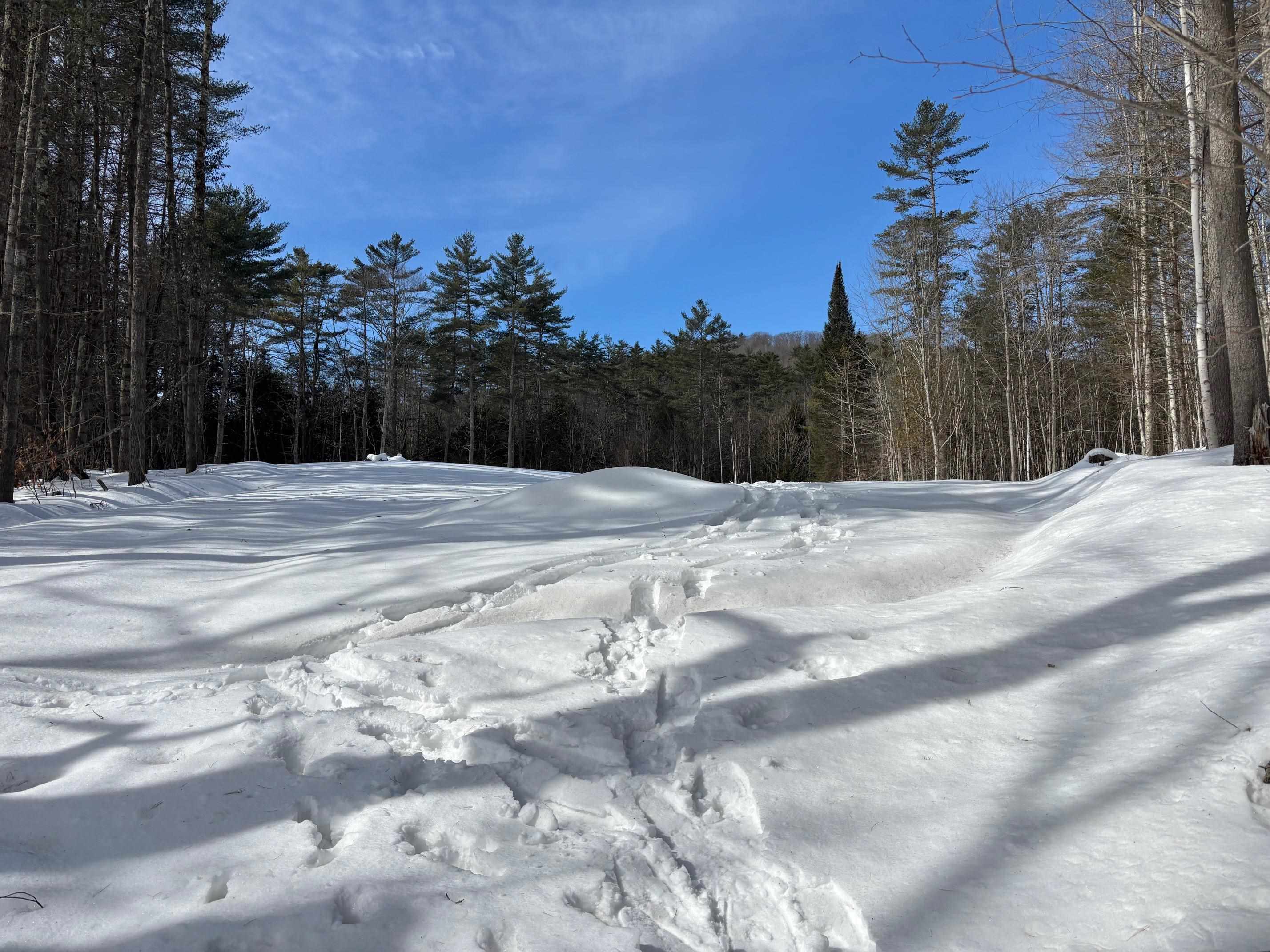 0 Lower Waterford Road Waterford, VT 05819 - Photo 15 of 21 Gallery Image 15