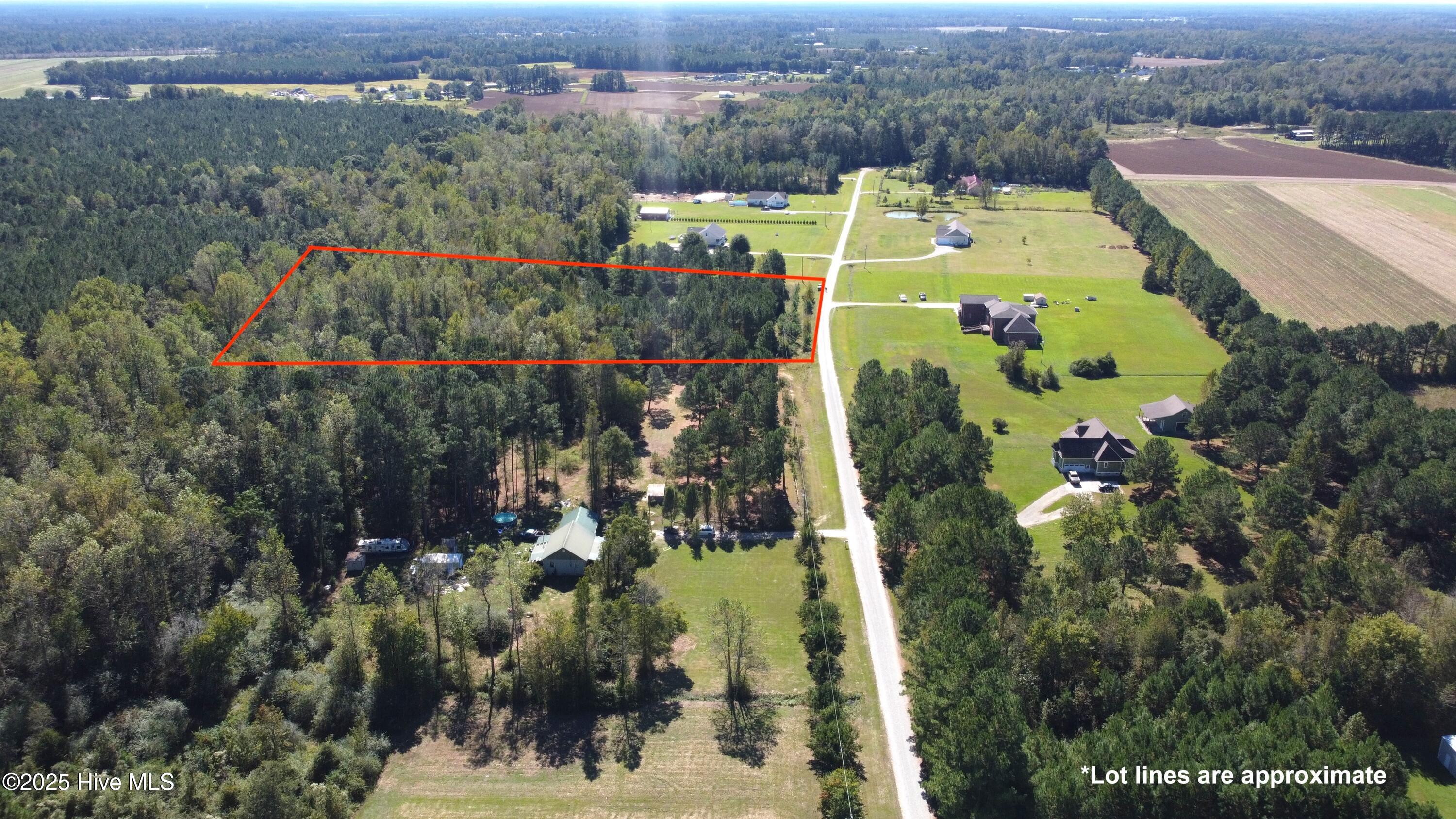 Lot #11 Upland Road Willard, NC 28478 - Photo 3 of 15 Derek Waatti Real Estate Upland Land for