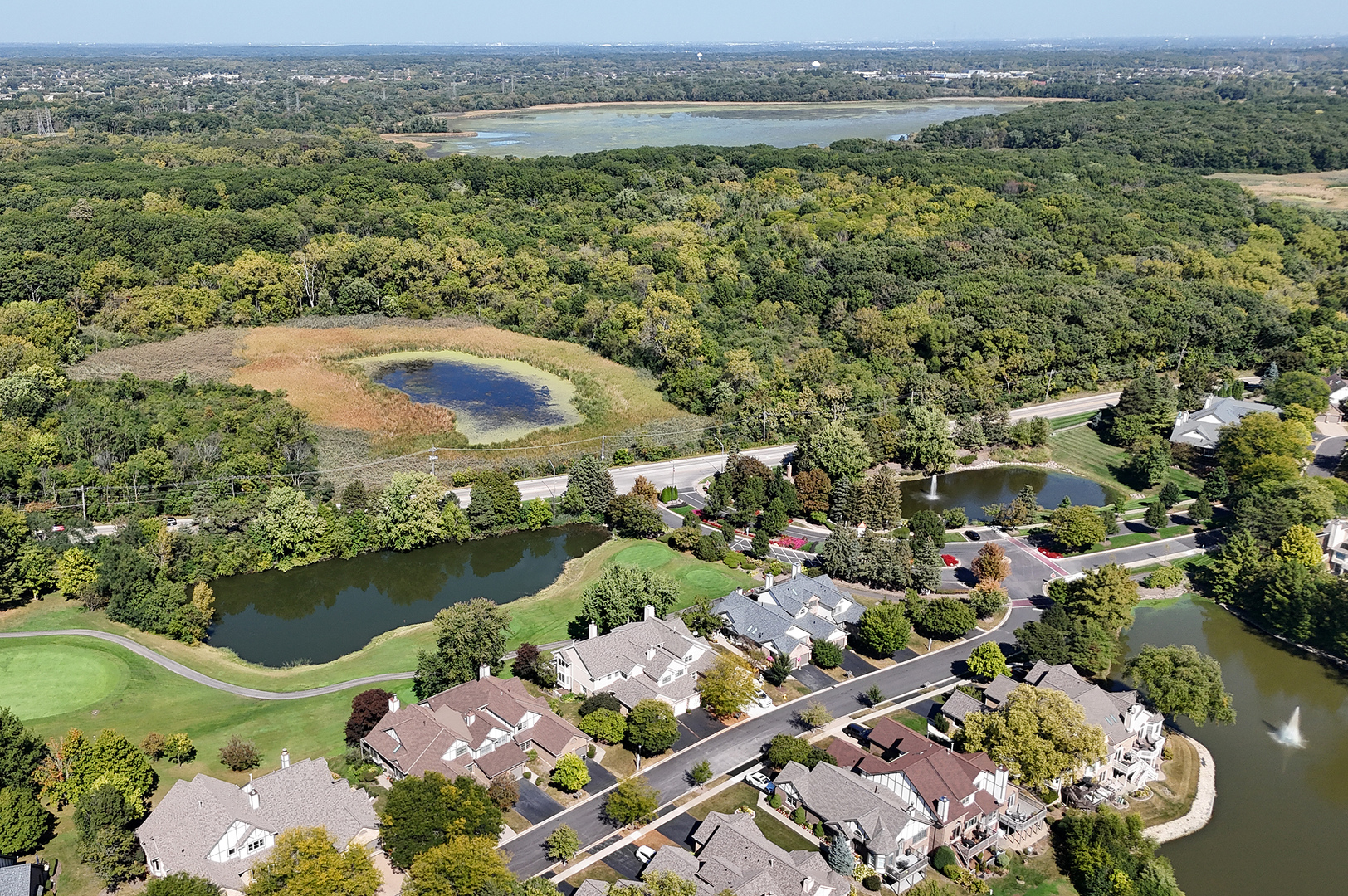 10534 Golf Road Orland Park, IL 60462 - Photo 47 of 54 an aerial view of residential houses with outdoor space