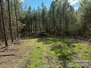 0 Southbound Road Albemarle, NC 28001 - Photo 4 of 13