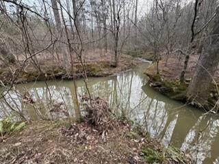 0 Southbound Road Albemarle, NC 28001 - Photo 6 of 13