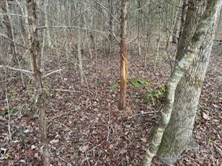 0 Southbound Road Albemarle, NC 28001 - Photo 7 of 13