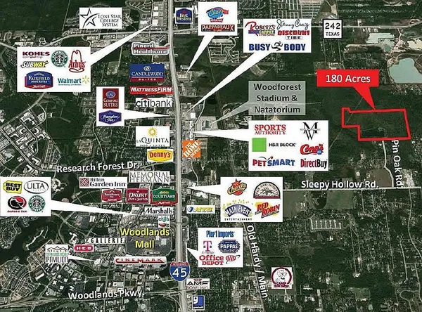 a view of a grassy field with trees