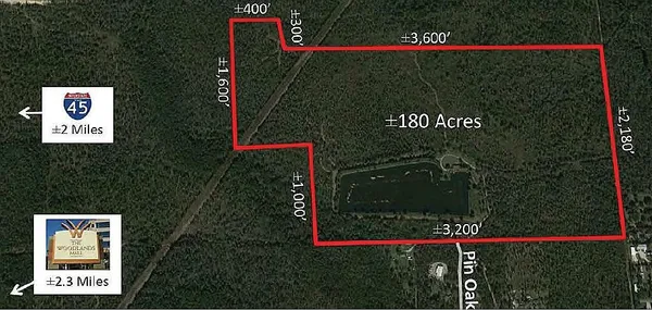 a view of a lush green space