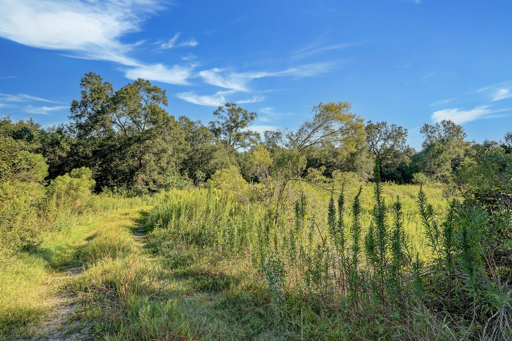 18760 Pin Oak Road Conroe, TX 77385 - Photo 10 of 12 Build multiple cabins and create the perfect recreational camp filled with fishing, hunting, ATV and off roading, hiking archery, skeet shooting, you name it. Turn this into an income producing property. There are NO restrictions.
