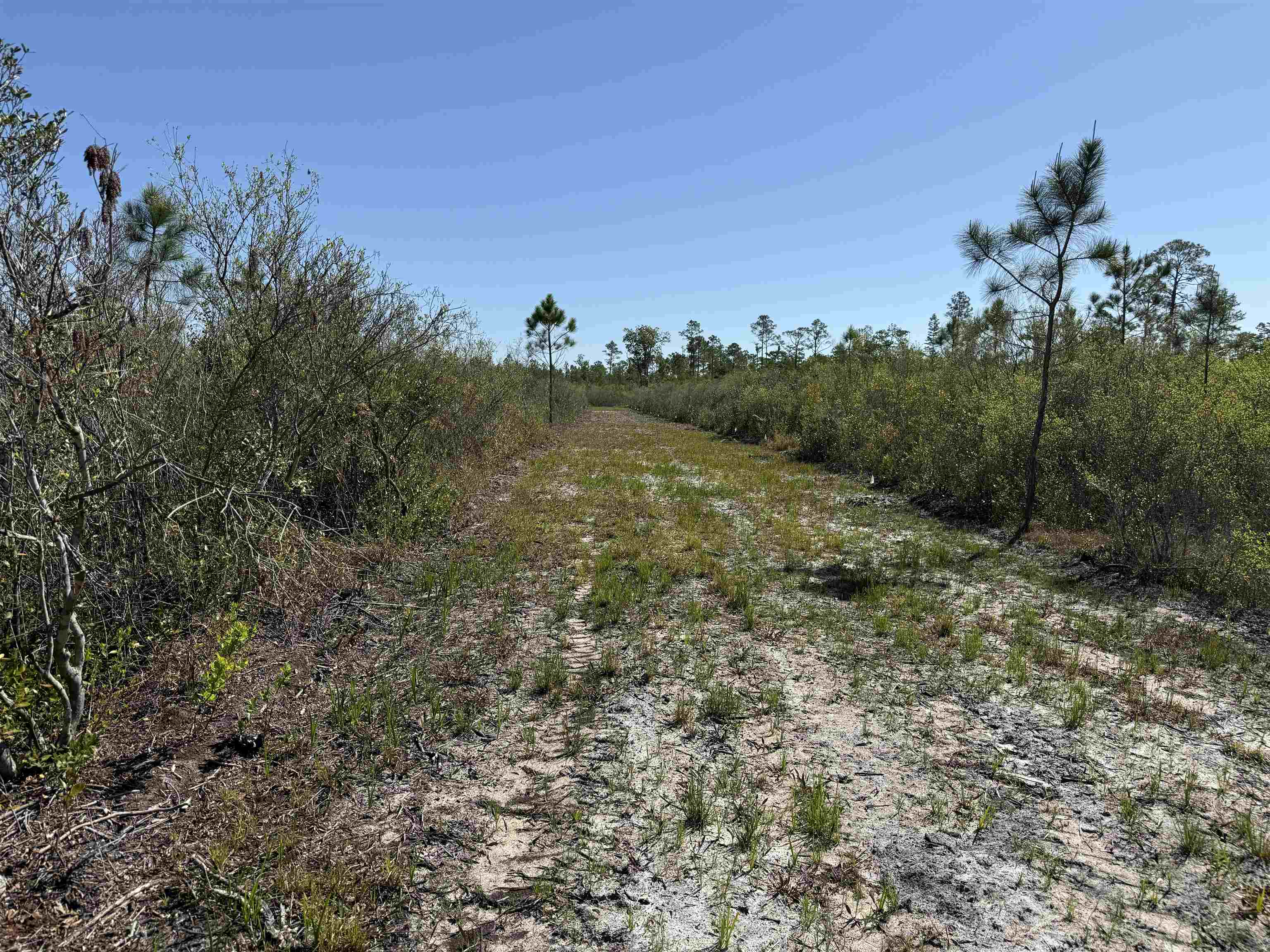 0 Madison Main Line Road Perry, FL 32347 - Photo 41 of 50