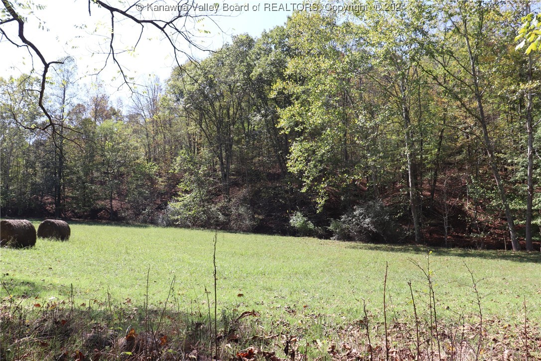 0 Colt Run Road Spencer, WV 25276 - Photo 2 of 25 Gallery Image 2