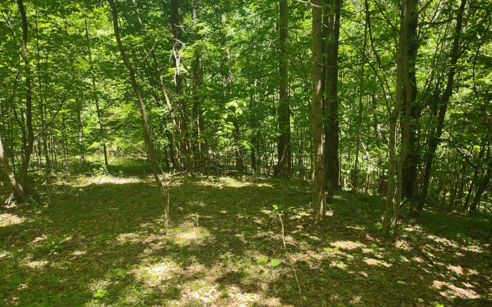 9 Meadow Loop Ellijay, GA 30536 - Photo 16 of 21 Additional View