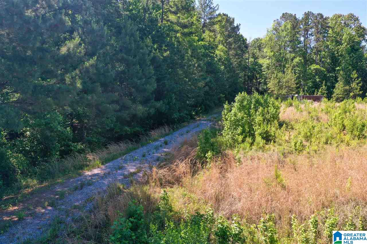 948 Old Deer Creek Road Sterrett, AL 35147 - Photo 1 of 19