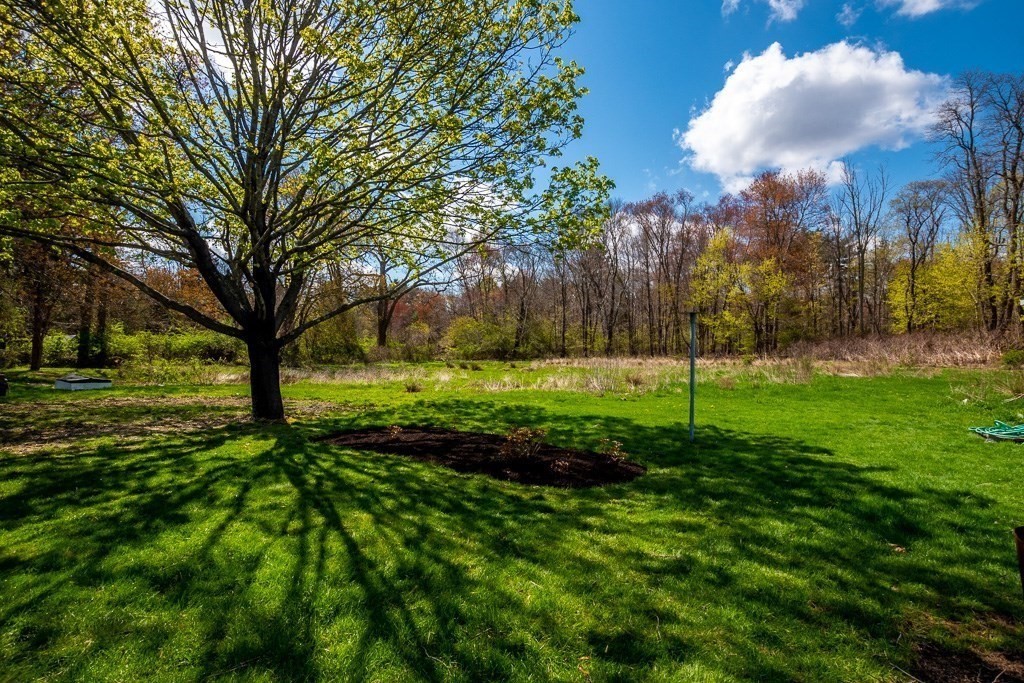 570 Canton Street Stoughton, MA 02072 - Photo 41 of 41 a view of yard with green space
