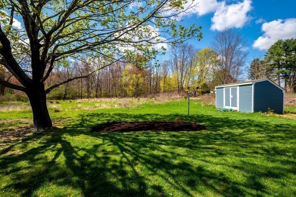 570 Canton Street Stoughton, MA 02072 - Photo 8 of 41 a view of a garden with a tree