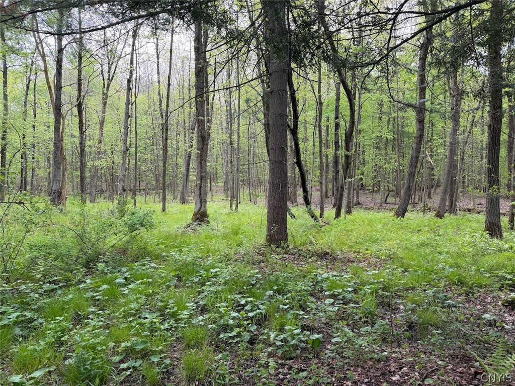 Slew Road South Dayton, NY 14138 - Photo 8 of 13