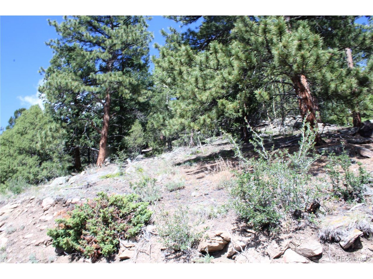 200 Two Brothers Road Idaho Springs, CO 80452 - Photo 5 of 41 Gallery Image 5
