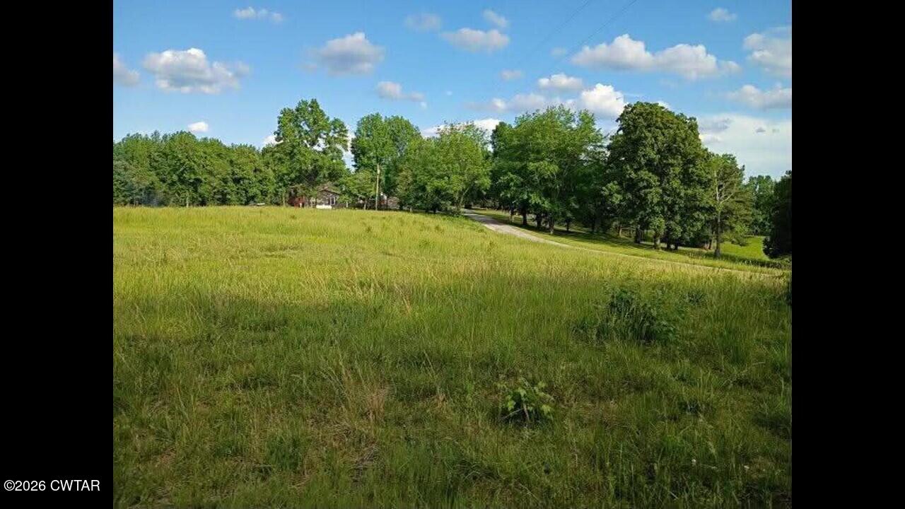 1872 Leo Woods Road Cedar Grove, TN 38321 - Photo 2 of 11 Slide2