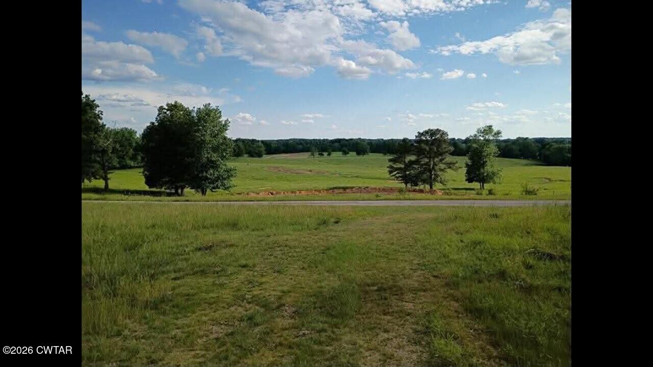 1872 Leo Woods Road Cedar Grove, TN 38321 - Photo 5 of 11 Slide5