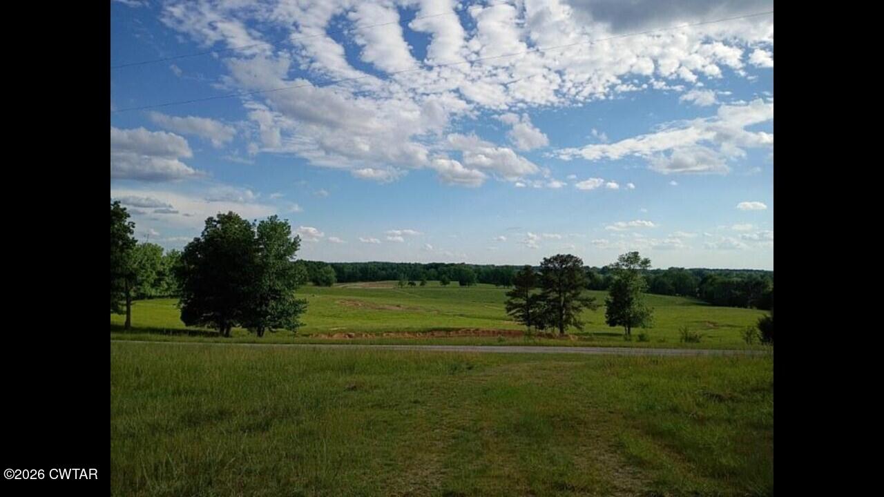 1872 Leo Woods Road Cedar Grove, TN 38321 - Photo 6 of 11 Slide6
