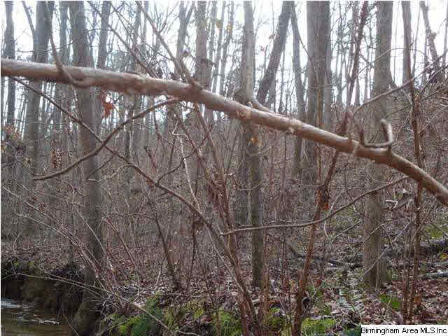 Loop Road Steele, AL 35987 - Photo 13 of 17