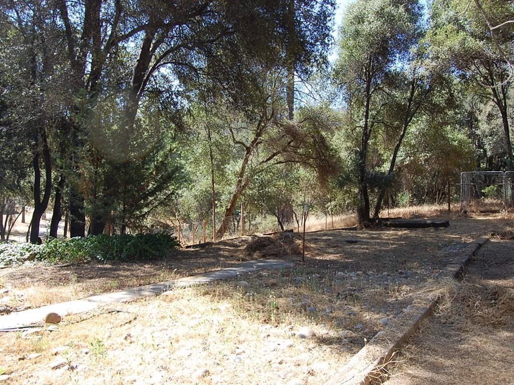 38144 Black Ranch Road Oakhurst, CA 93644 - Photo 22 of 37 Gallery Image 22
