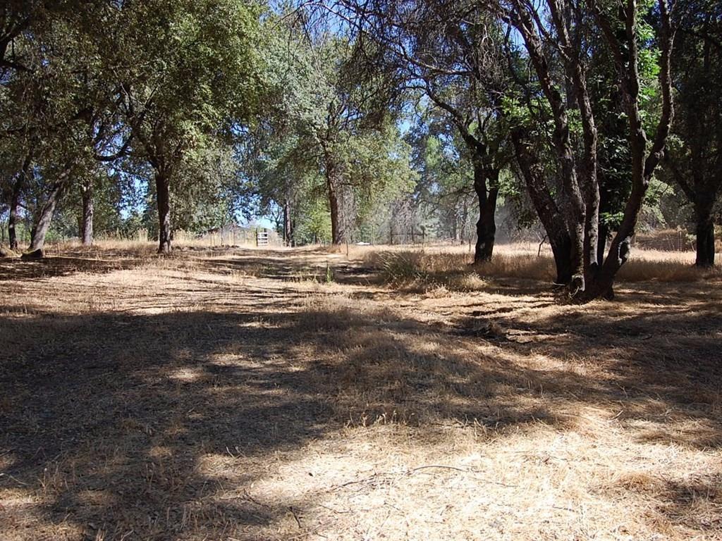 38144 Black Ranch Road Oakhurst, CA 93644 - Photo 30 of 37 Gallery Image 30