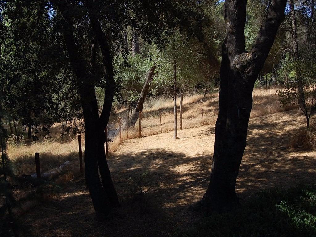 38144 Black Ranch Road Oakhurst, CA 93644 - Photo 31 of 37 Gallery Image 31