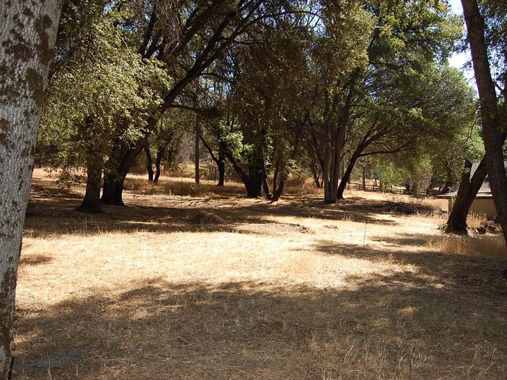 38144 Black Ranch Road Oakhurst, CA 93644 - Photo 32 of 37 Gallery Image 32