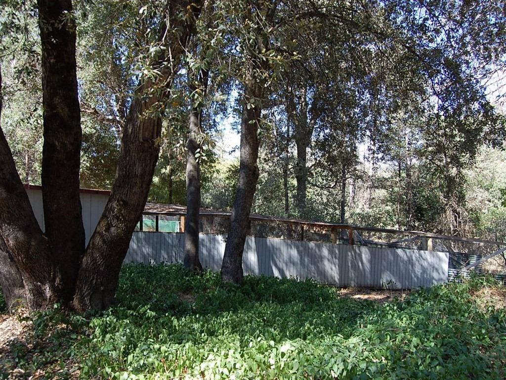 38144 Black Ranch Road Oakhurst, CA 93644 - Photo 33 of 37 Gallery Image 33