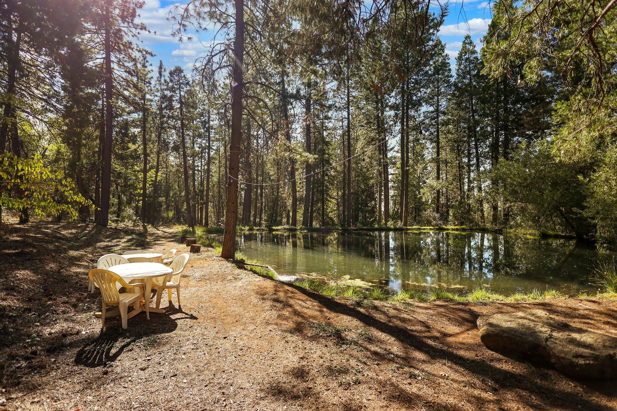 21800 Cedar Ridge Road Manton, CA 96059 - Photo 32 of 35 a view of swimming pool with a yard