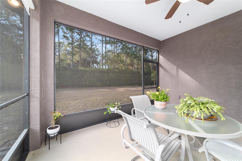 9178 Southwest 65th Loop Ocala, FL 34481 - Photo 52 of 55