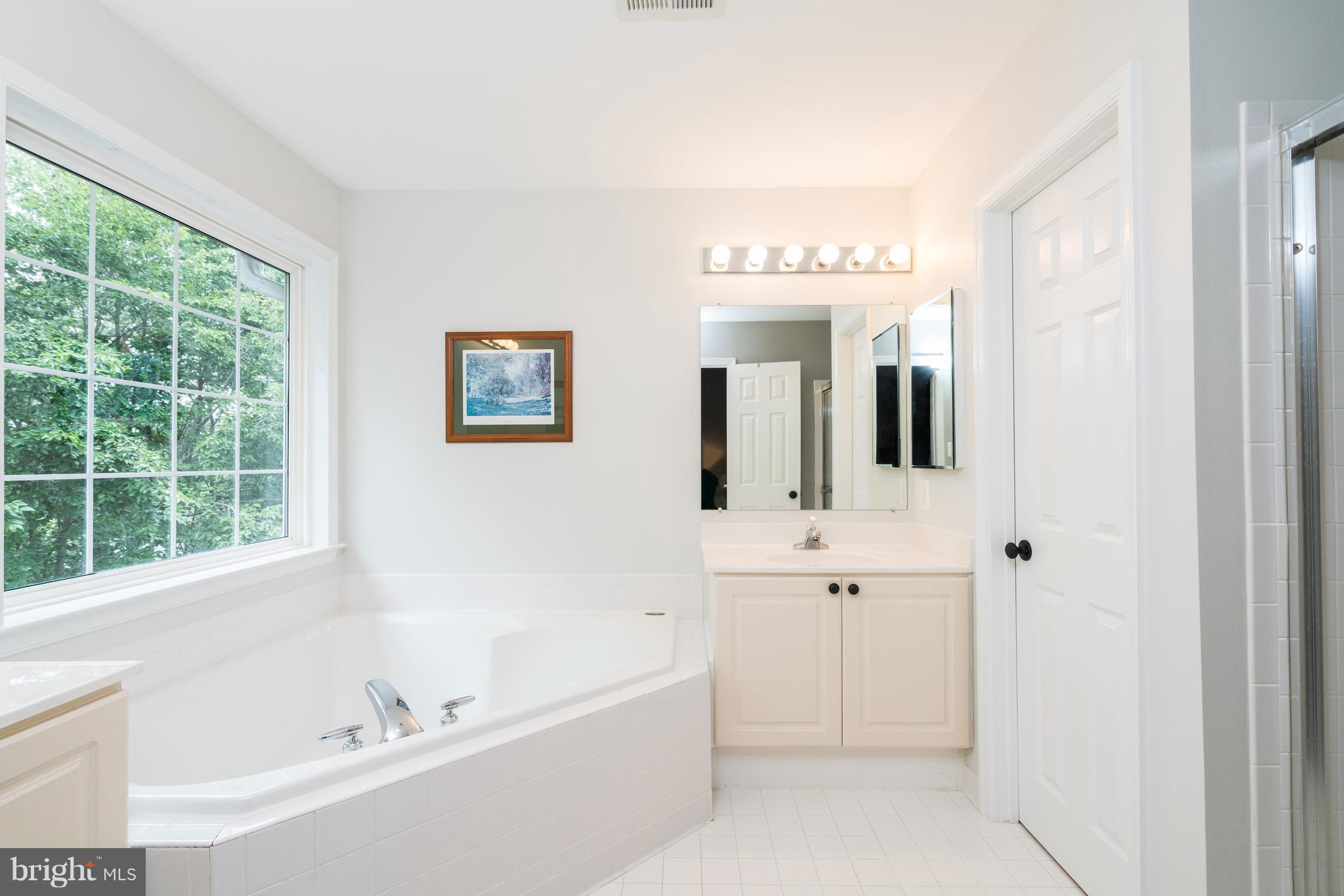 20691 Riptide Square Sterling, VA 20165 - Photo 14 of 27 Master Bathroom, Dual Vanities, Soaking Tub!