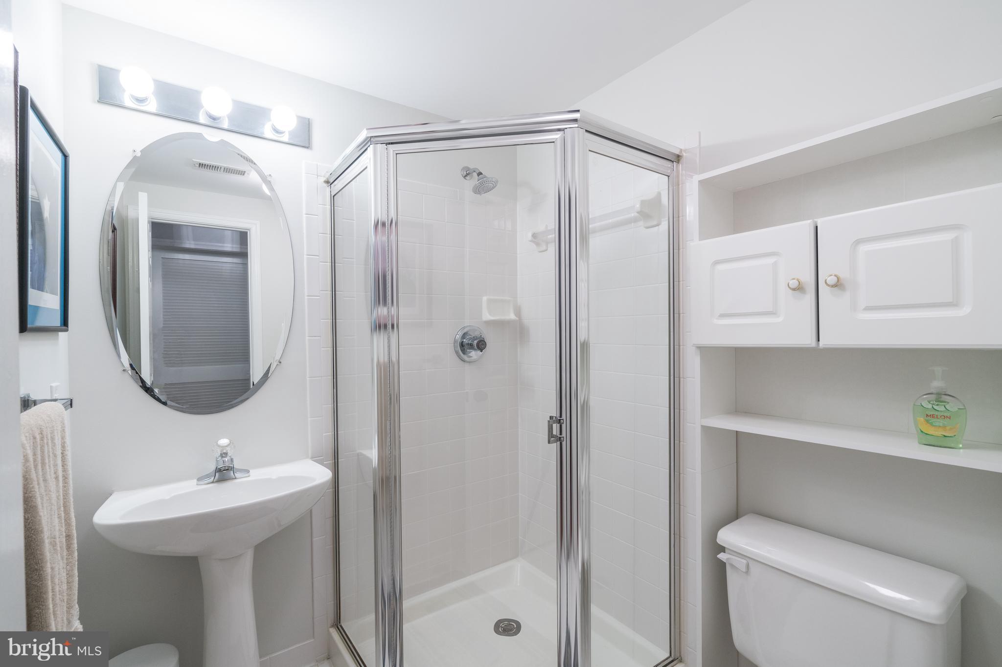 20691 Riptide Square Sterling, VA 20165 - Photo 23 of 27 Bathroom in Basement, with a Shower!