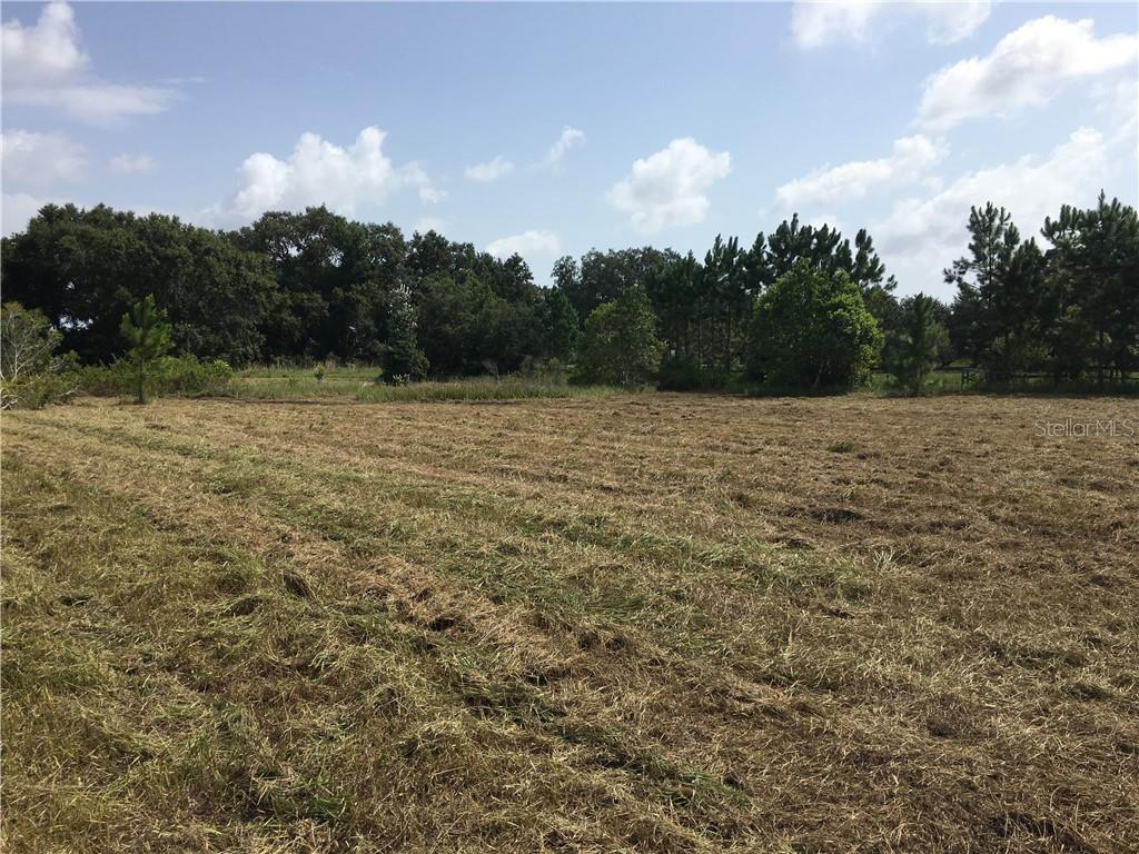 Xxxx Number 2 Road Howey-in-the-Hills, FL 34797 - Photo 1 of 1