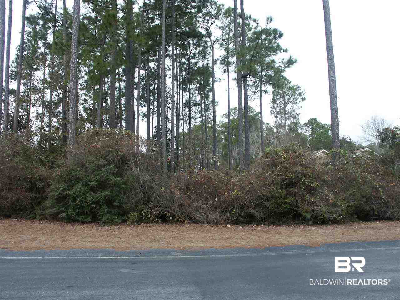 1991 Ridgewood Drive Lillian, AL 36549 - Photo 2 of 6 Good Road Frontage